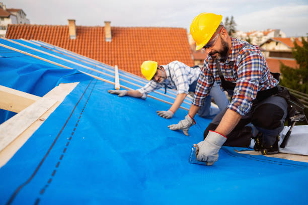 Best Roof Waterproofing Services  in Rawls Springs, MS