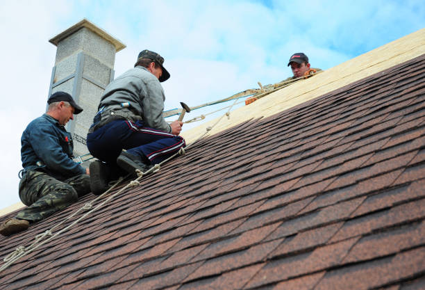 Best Roof Repair Services  in Rawls Springs, MS